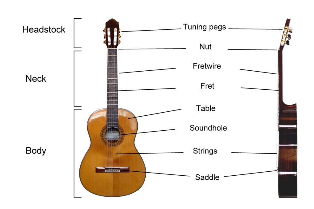 https://upload.wikimedia.org/wikipedia/commons/8/83/Classical_Guitar_labelled_english.jpg